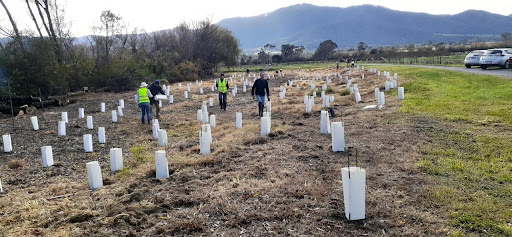 Completing Planting on the Kiewa River